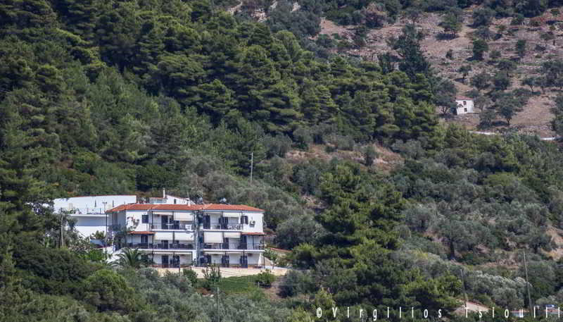 Aegeon Hotel Skopelos stad Exteriör bild